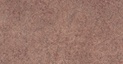 Teja