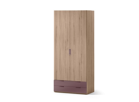 Las mejores 110 ideas de Armarios de madera en 2024  armario de madera,  ropero de madera, closet de madera