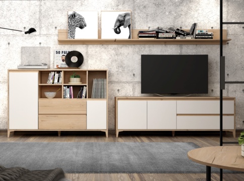 Muebles de salón para TV IDUN-C 