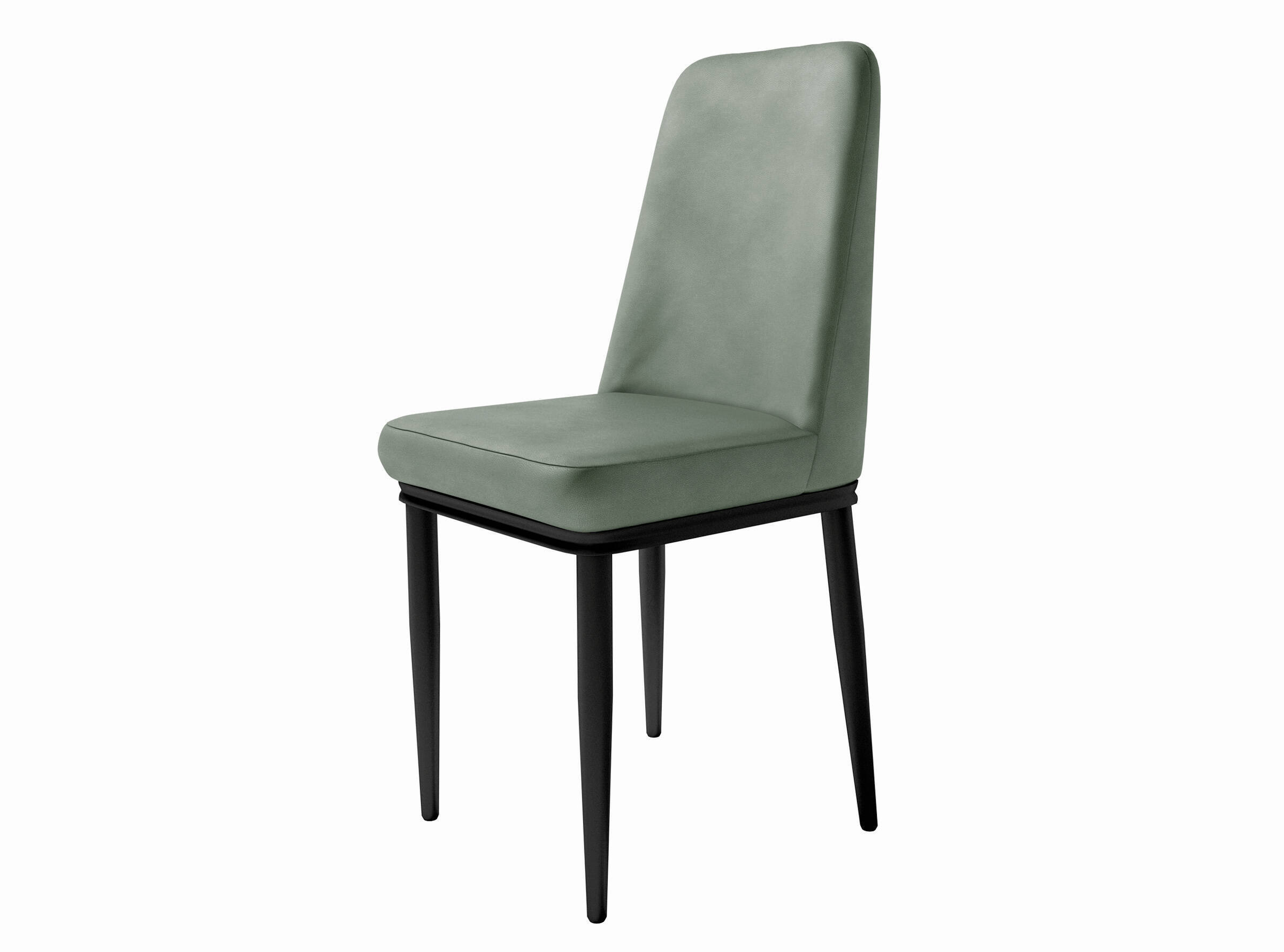 Musgo